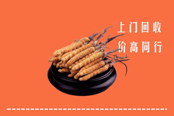 荷塘区回收散虫草