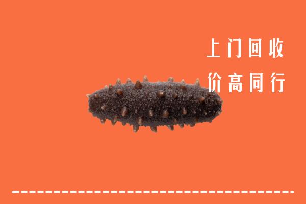 荷塘区回收海参