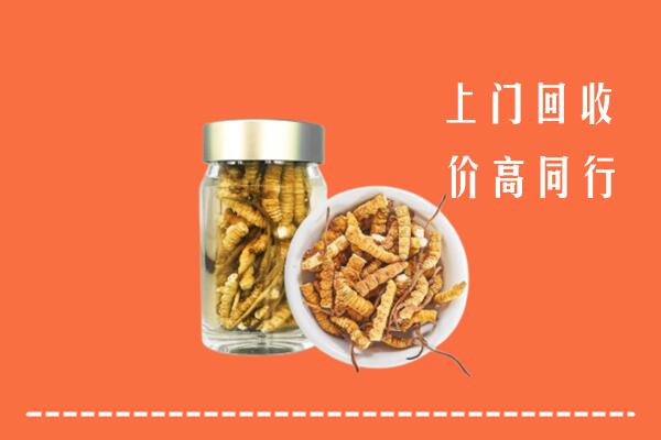 荷塘区回收冬虫夏草